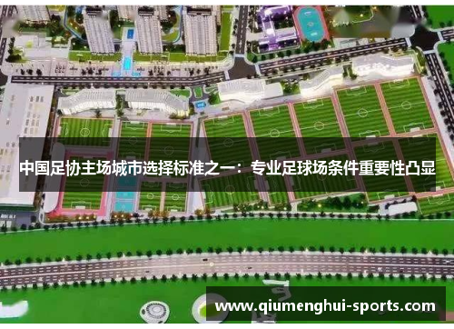 中国足协主场城市选择标准之一：专业足球场条件重要性凸显
